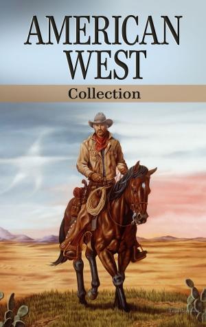 bigCover of the book American West Collection by 