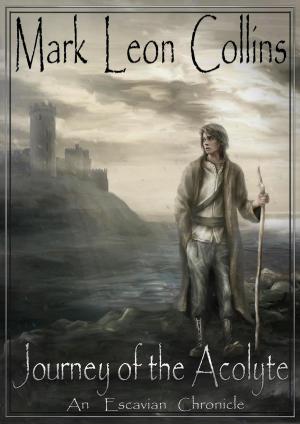 Cover of the book Journey of the Acolyte by Evelyn A. Martínez Burgos