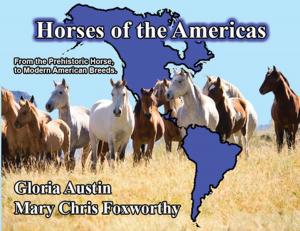 Book cover of Horses of the Americas