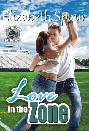 Cover of the book Love in the Zone by Anne Freethy