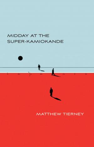 Cover of the book Midday at the Super-Kamiokande by RM Vaughan