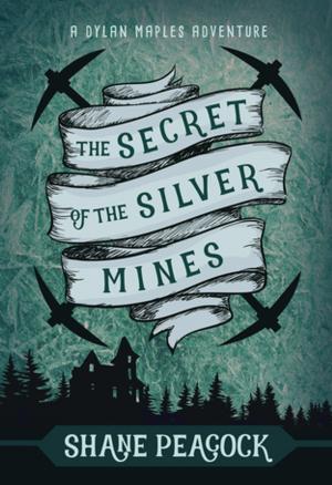 Cover of the book The Secret of the Silver Mines by Chris Mills