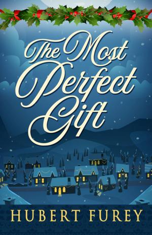 Cover of the book The Most Perfect Gift by MM Rumberg