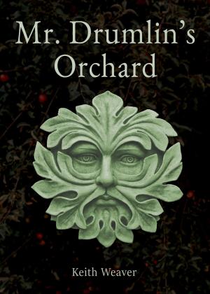 Cover of Mr. Drumlin's Orchard