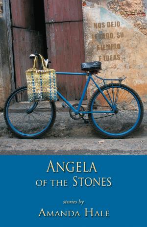 Book cover of Angela of the Stones
