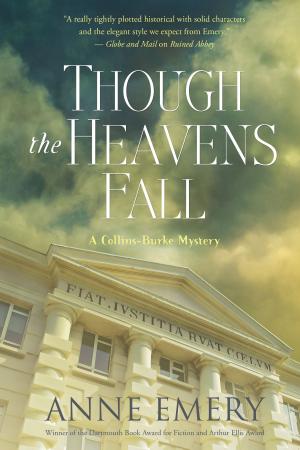 Cover of the book Though the Heavens Fall by David Elias