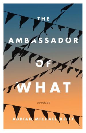 Cover of the book The Ambassador of What by William Deverell