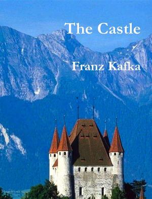 Cover of the book The Castle by David Holdaway