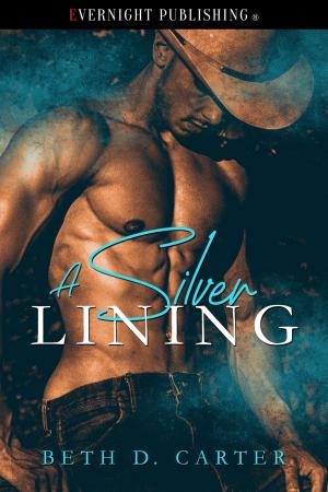 Cover of the book A Silver Lining by Veronica Voss