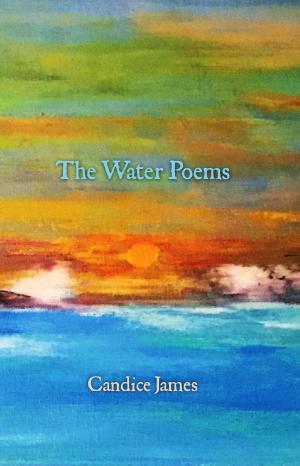 Book cover of The Water Poems