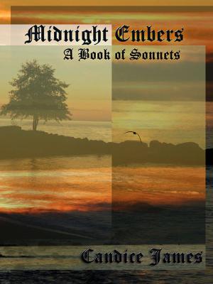 Cover of the book Midnight Embers: A Book of Sonnets by Lozan Yamolky