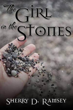 Book cover of The Girl in the Stones