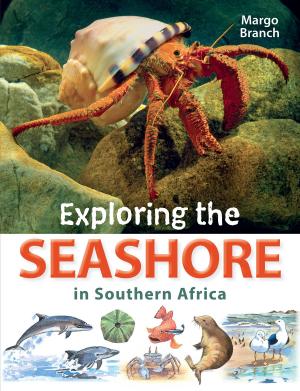 Cover of the book Exploring the Seashore in Southern Africa by Melinda Ferguson