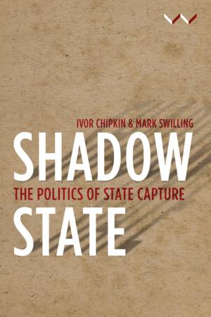 Cover of the book Shadow State by Byron Caminero-Santangelo, Sule Emmanuel Egya, Jonathon Bishop Highfield