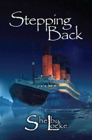 Cover of the book Stepping Back by David Holdaway