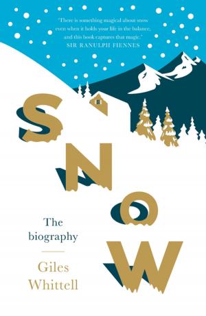 Cover of the book Snow by Ilena von Hirsch