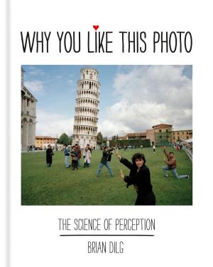 Cover of the book Why You Like This Photo by Adam Duckworth