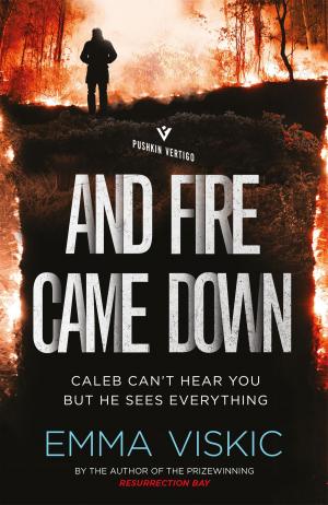 Cover of the book And Fire Came Down by Dominique Fabre