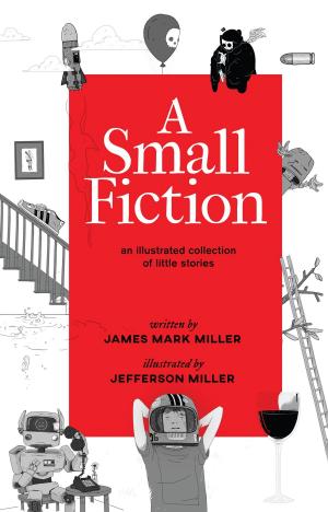 Cover of the book A Small Fiction by Caitlin Davies