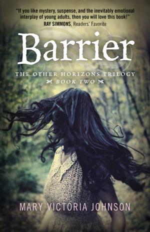Cover of the book Barrier by Nicholas Hagger