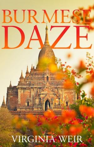 Cover of the book Burmese Daze by Robert M. Lowry