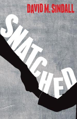 Cover of the book Snatched by Neal Sutton