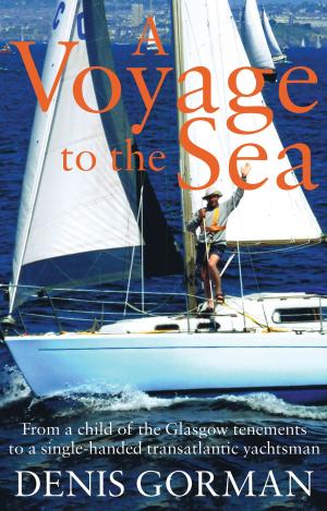 Cover of the book A Voyage to the Sea by Bola Ogunkoya