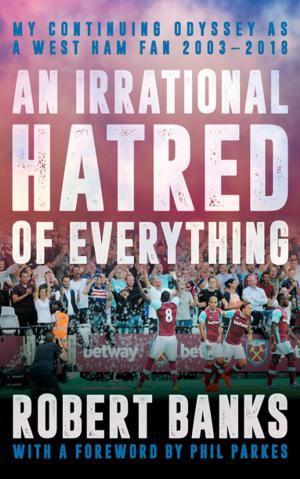 Cover of the book An Irrational Hatred of Everything by James Ball