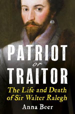 Cover of the book Patriot or Traitor by Sholeh Quinn