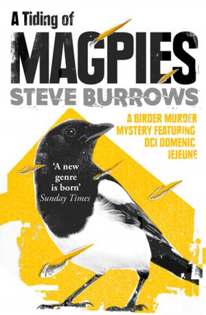 Cover of the book A Tiding of Magpies by Dan Cohn-Sherbok, Lavinia Cohn-Sherbok