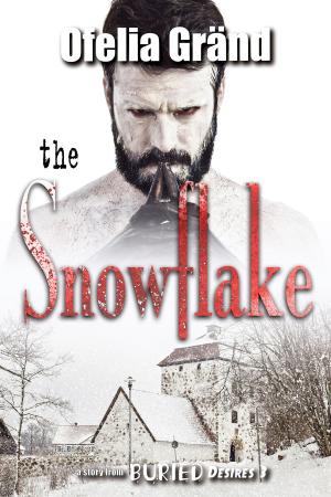 Cover of the book The Snowflake by M.VINCENT DEL REY