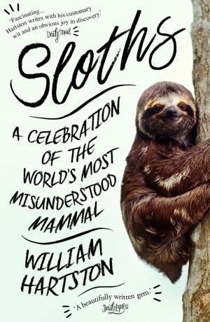 Cover of the book Sloths by Tom 'The Blowfish' Hird