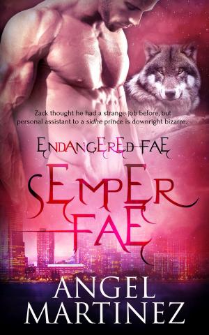 Cover of the book Semper Fae by Kim Dare