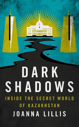 Cover of the book Dark Shadows by Professor J R Spencer