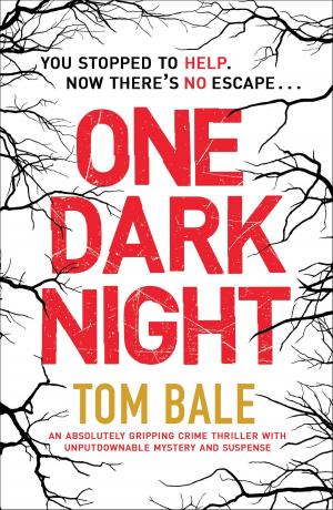 Cover of the book One Dark Night by Liza Marklund