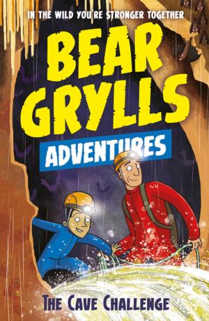 Cover of the book A Bear Grylls Adventure 9: The Cave Challenge by Cate Cain