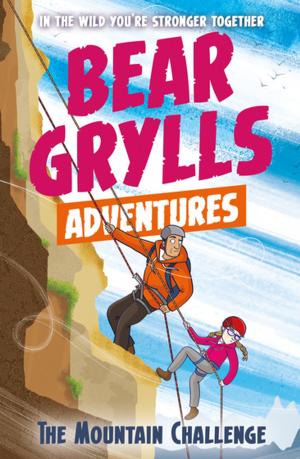 Book cover of A Bear Grylls Adventure 10: The Mountain Challenge