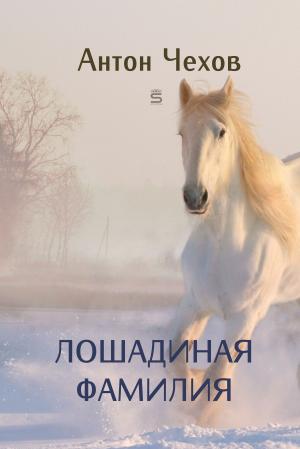 bigCover of the book A Horsey Name by 