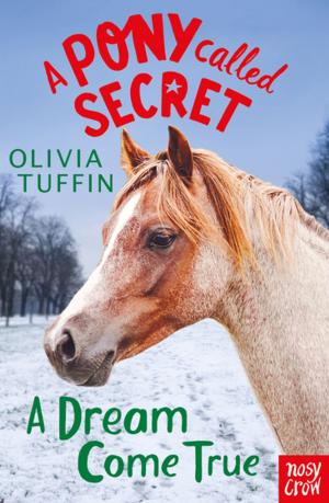 Cover of the book A Dream Come True by Paula Harrison
