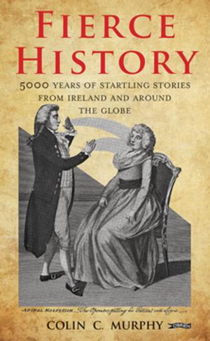 Cover of the book Fierce History by Marita Conlon-McKenna