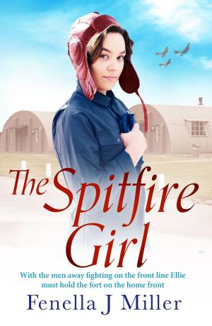 Cover of the book The Spitfire Girl by Heather Burnside