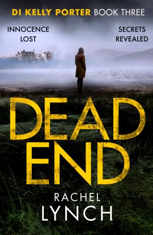 Cover of the book Dead End by Sheelagh Kelly