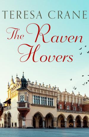bigCover of the book The Raven Hovers by 