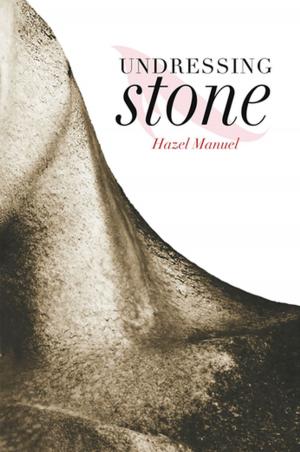 Cover of the book Undressing Stone by Carole Strachan