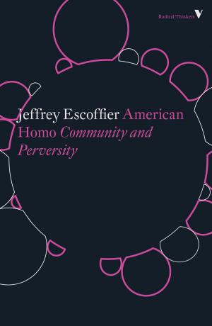 bigCover of the book American Homo by 