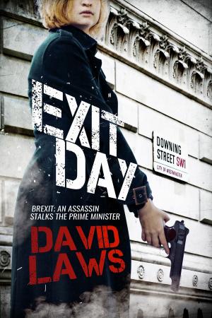 Cover of the book Exit Day by David Tinney