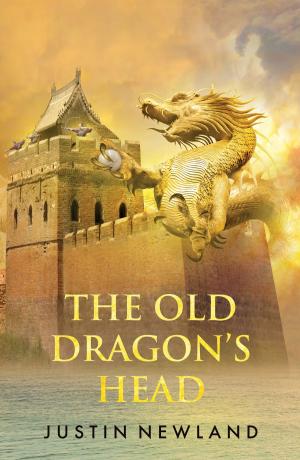 Cover of the book The Old Dragon’s Head by Sean McPheat