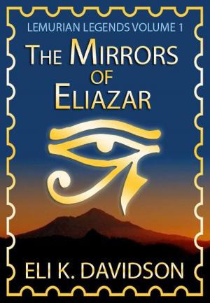 Cover of the book The Mirrors of Eliazar by Jean-Claude Dunyach