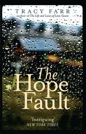Cover of the book The Hope Fault by Damien Wilkins