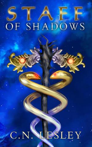 Cover of the book Staff of Shadows by David R. Stookey